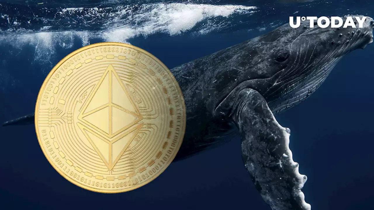 Ethereum (ETH) Whales Selling Their Holdings, What's Happening?