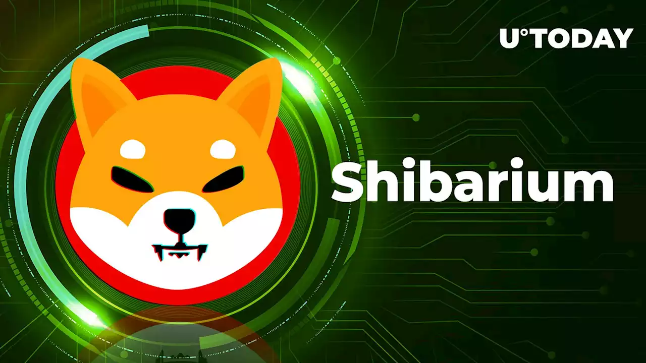 Shiba Inu Team Announces Summer of Shibarium; Is SHIB About to Surge?