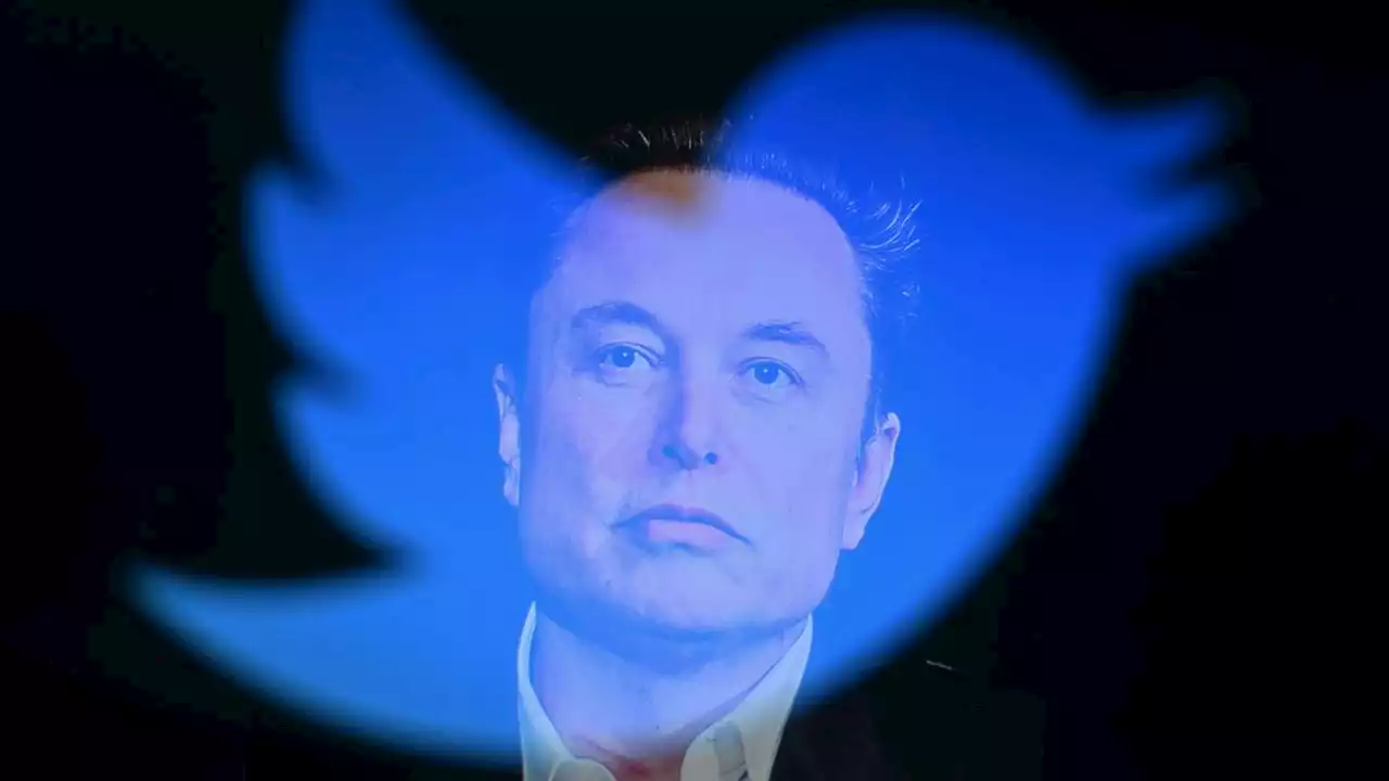 Musk: Twitter-Einnahmen um 50 Prozent zurückgegangen