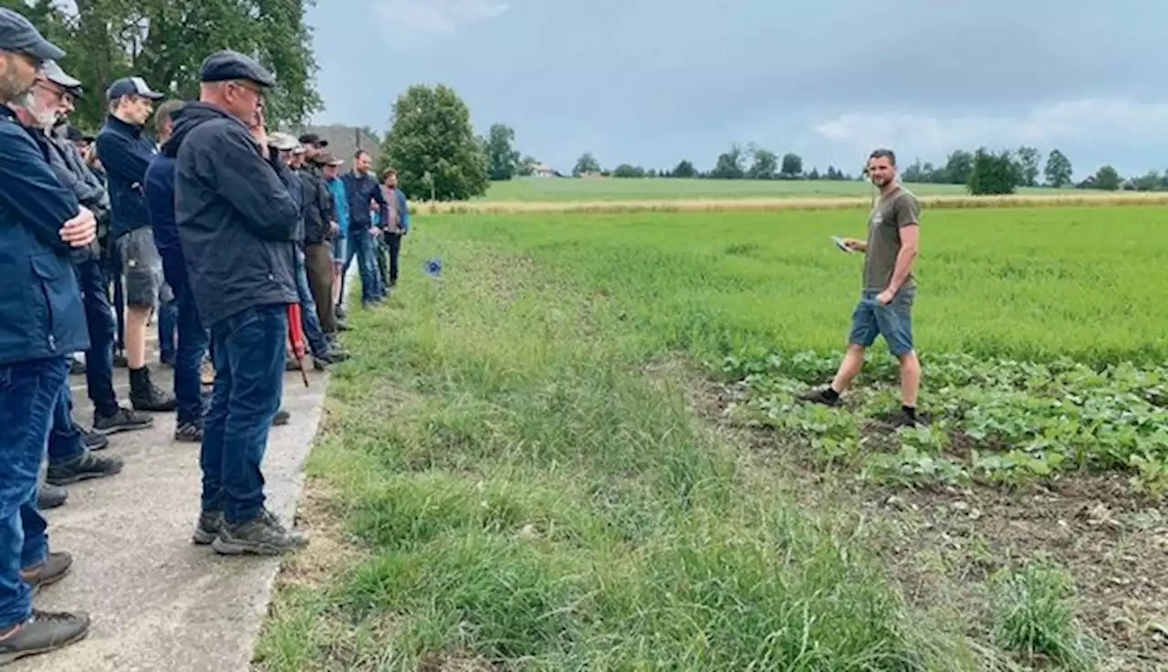 Adrian Rubi belebt den Boden mit Wurzeln und die Kulturen mit Tee - bauernzeitung.ch