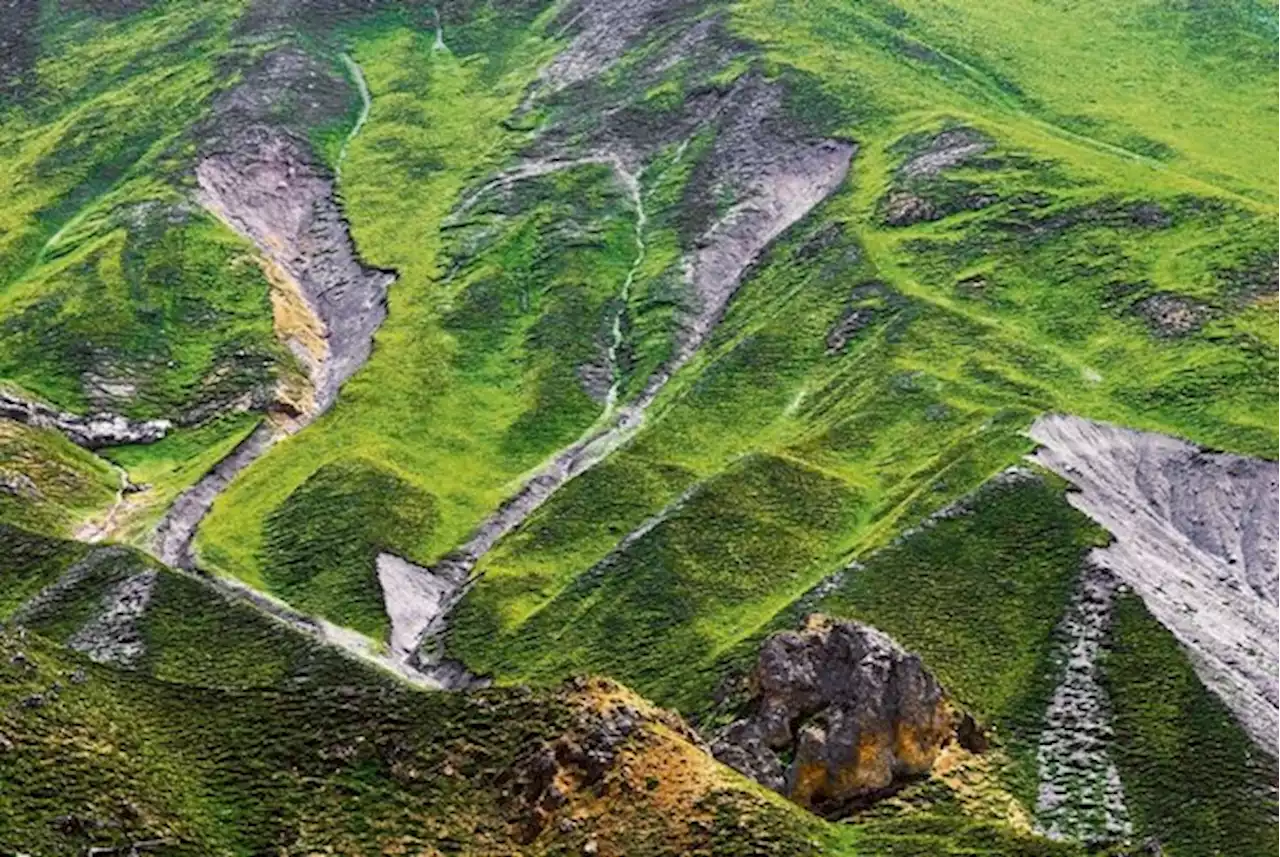 Vertreibt der Wolf die Schafe, droht Erosion in den Alpen - bauernzeitung.ch