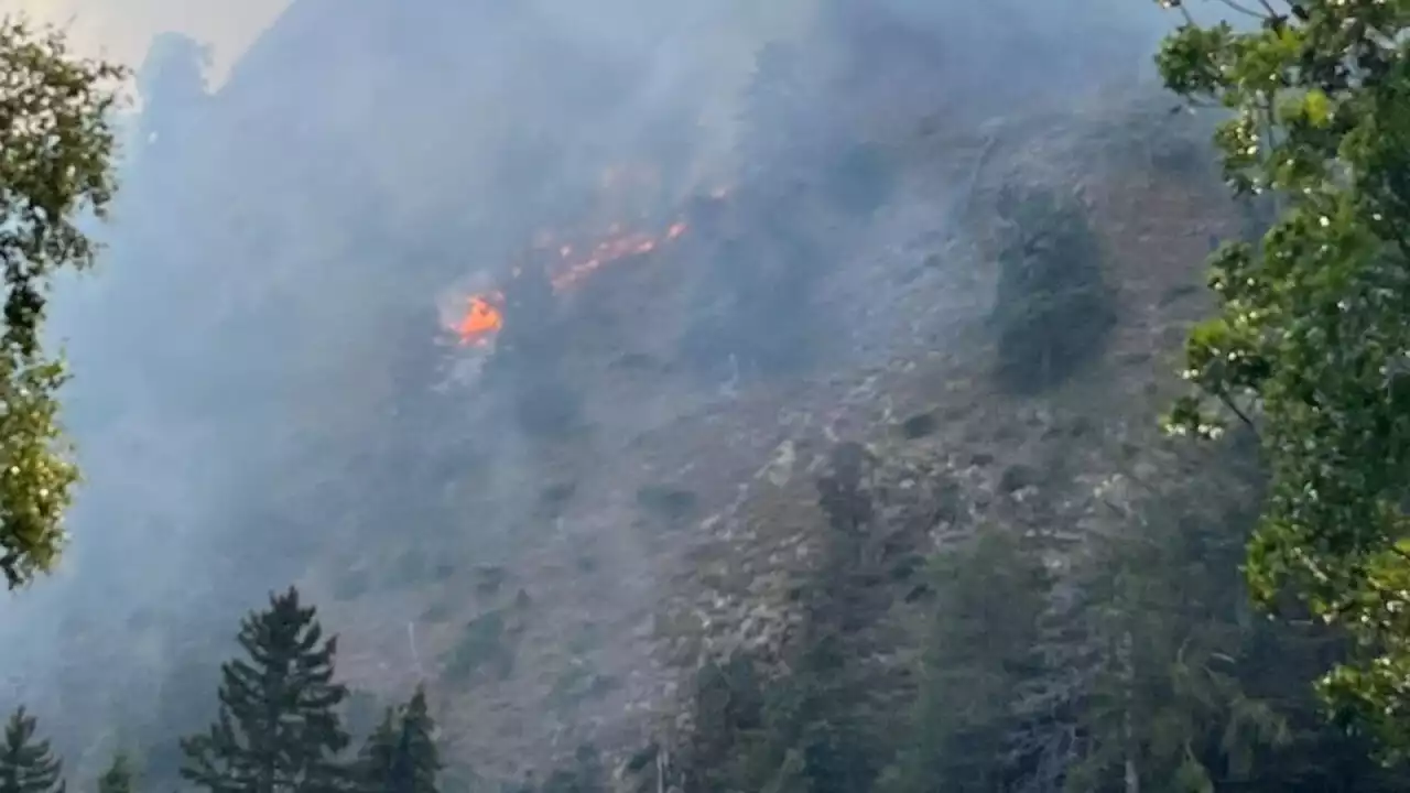 Oberhalb der Walliser Gemeinde Bitsch brennt der Wald