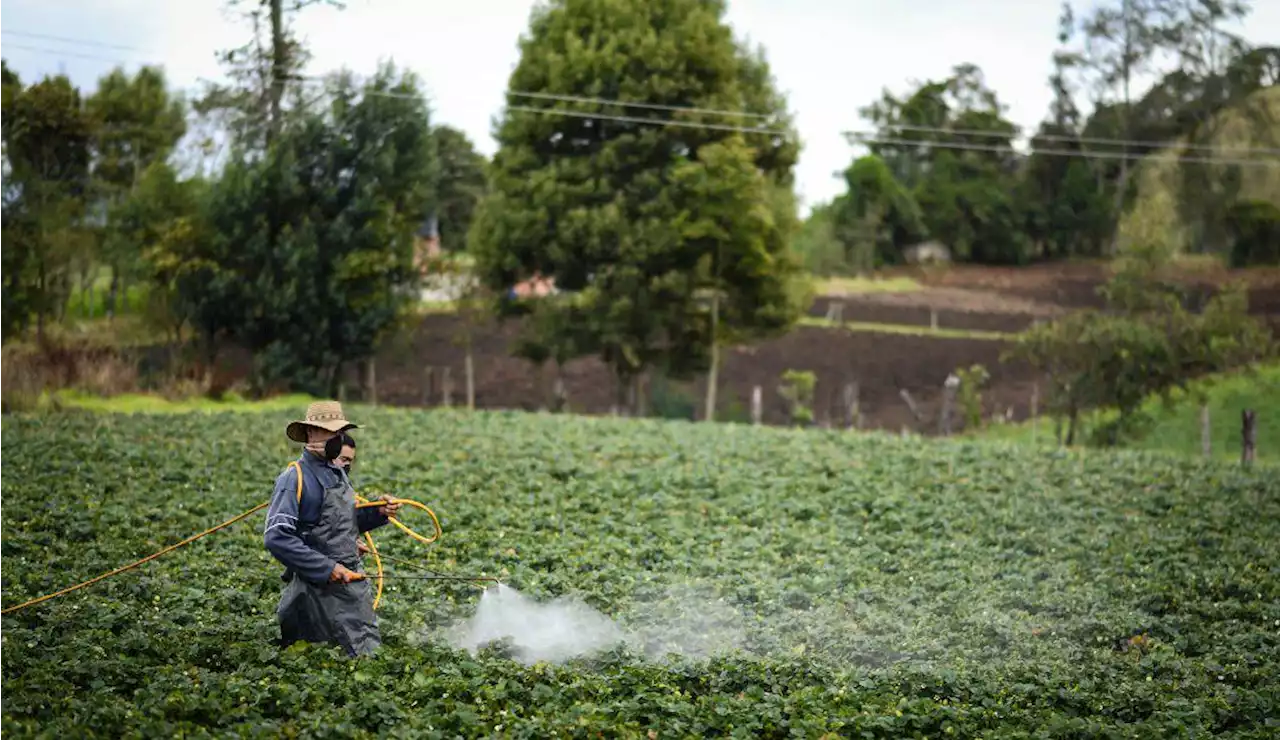 Proyecto que reglamentará la Jurisdicción Agraria se radicará después del 20 de julio