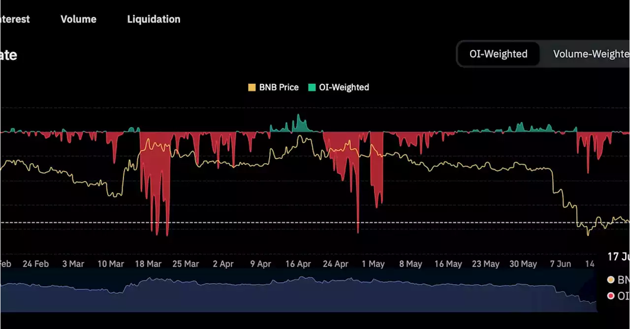 BNB Token is Being Heavily Shorted, Perpetual Futures Show