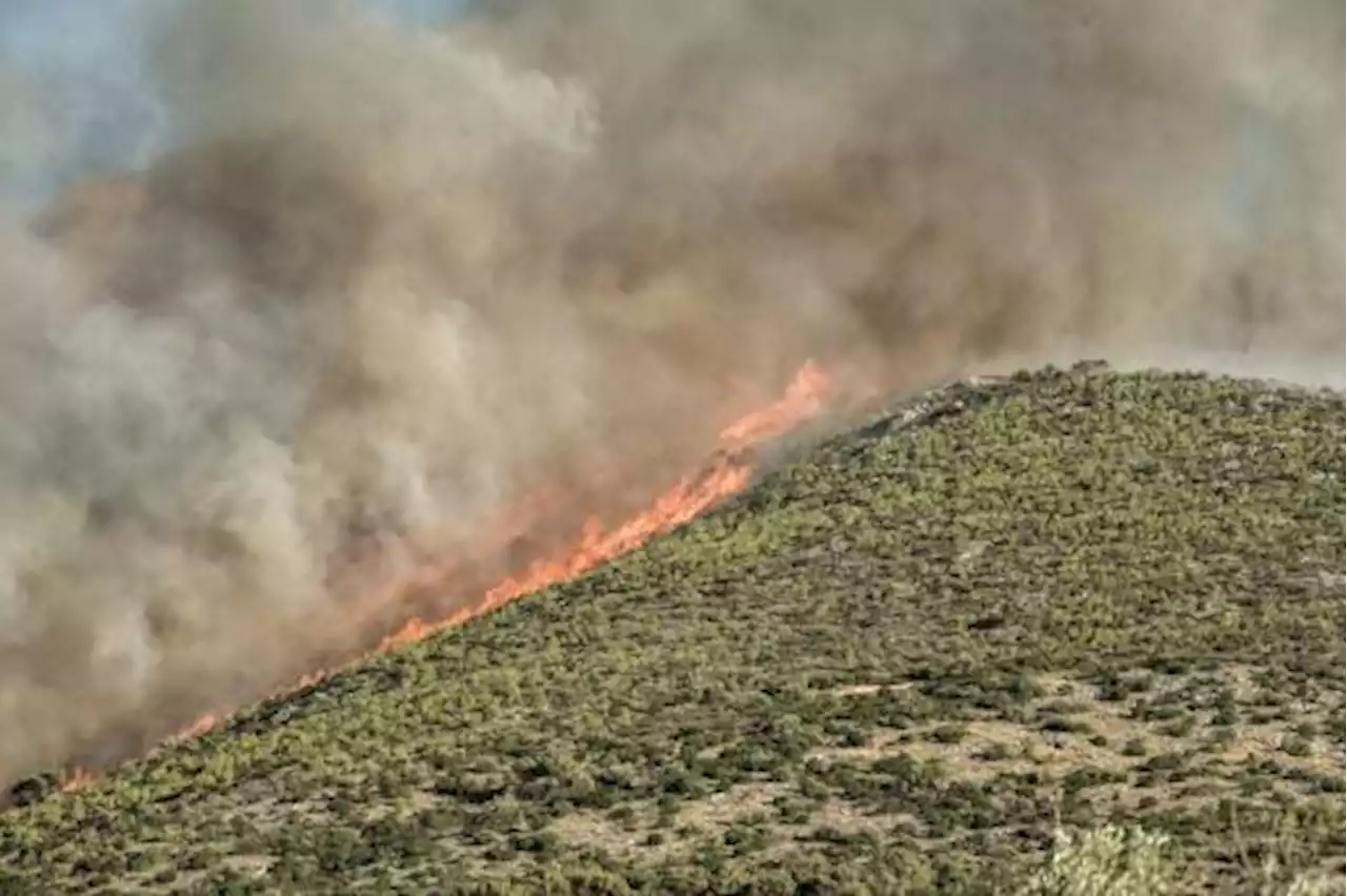 Grèce: incendies de forêt près d'Athènes, évacuations et routes fermées