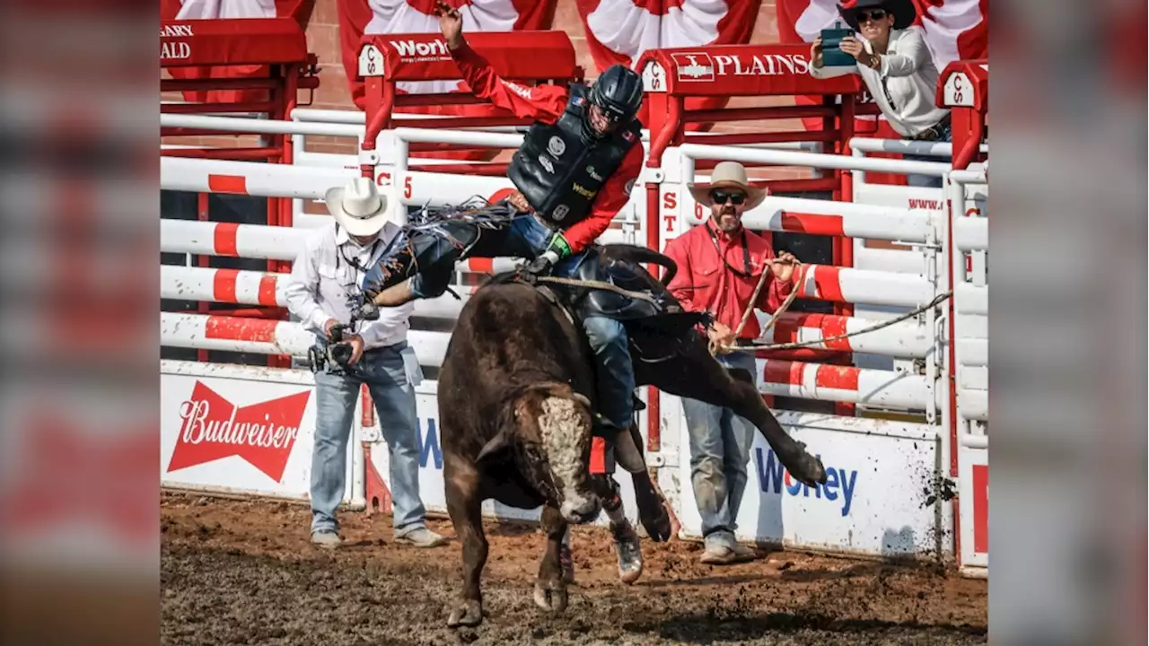 Four Canadians prevail in Calgary Stampede rodeo finals