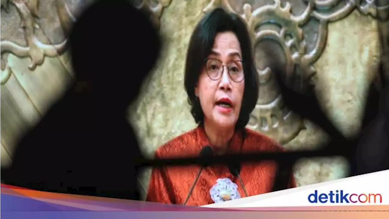 Bertemu Menkeu India, Sri Mulyani Bahas Perdagangan hingga Investasi