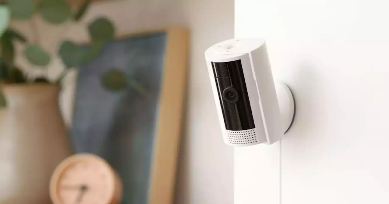 Ring Indoor Cam vs. Blink Mini Pan-Tilt Camera | Digital Trends