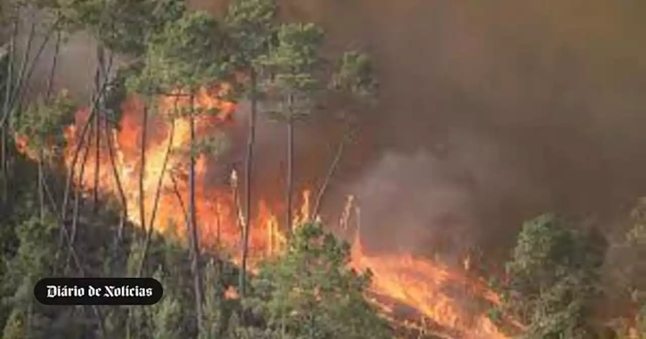 Onze meios aéreos e 242 operacionais combatem fogo na Sertã