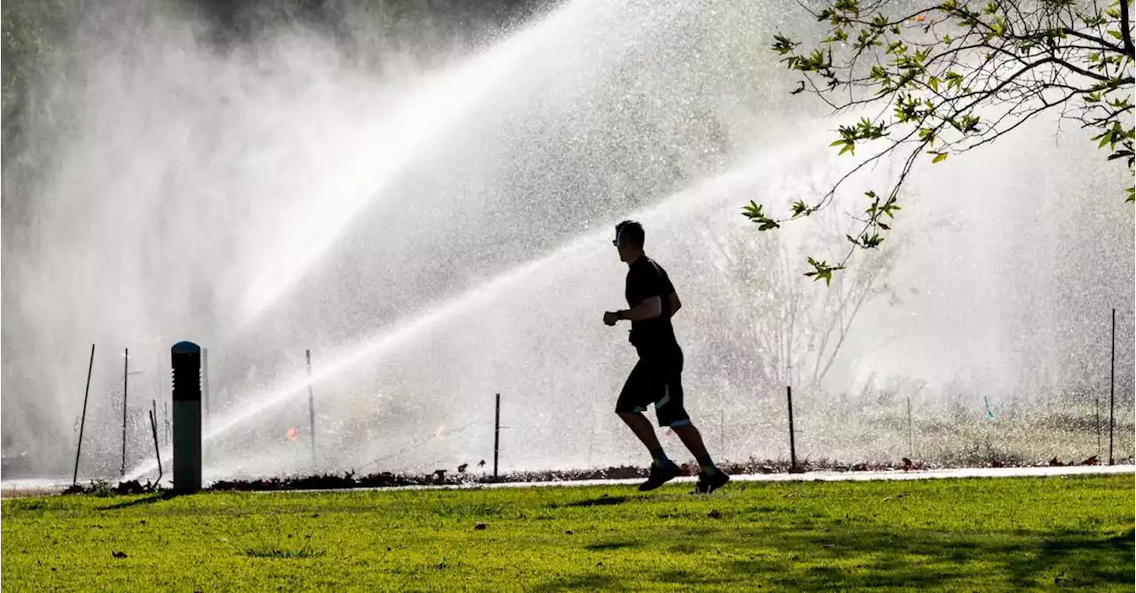 Ola de calor sofoca a Estados Unidos y Europa