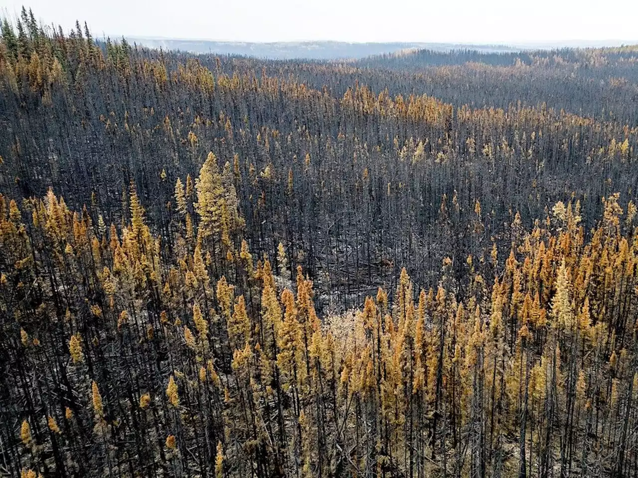 Canadian wildfires burn a record 25 million acres with no end in sight