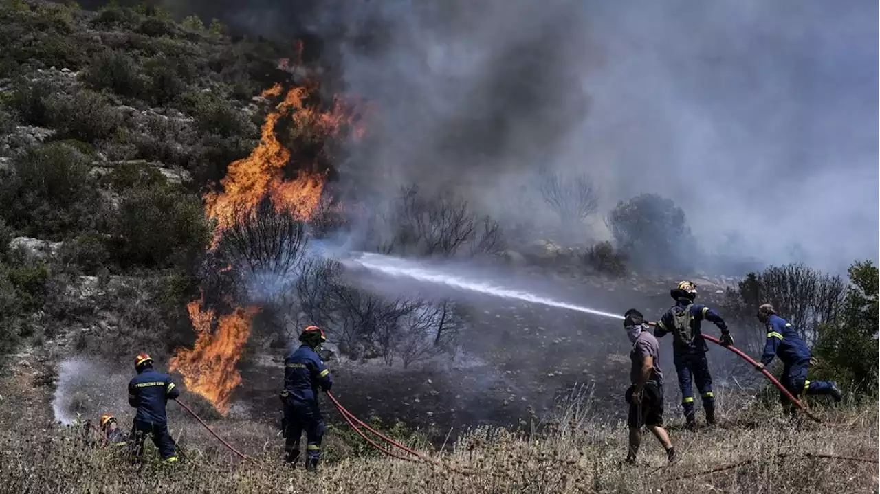 DIRECT. Canicule : un incendie de forêt se déclare près d'Athènes, des zones balnéaires évacuées