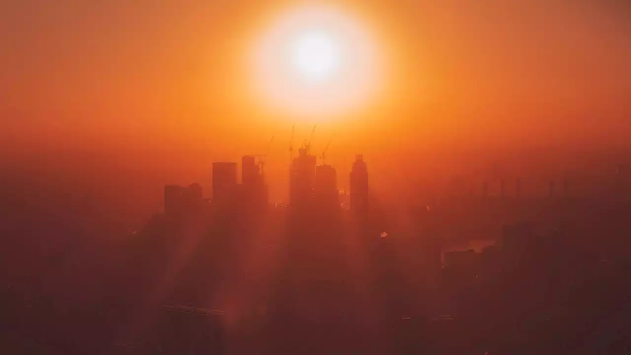 The heatwaves in Europe are a reminder that we must act now if we want a future for our planet