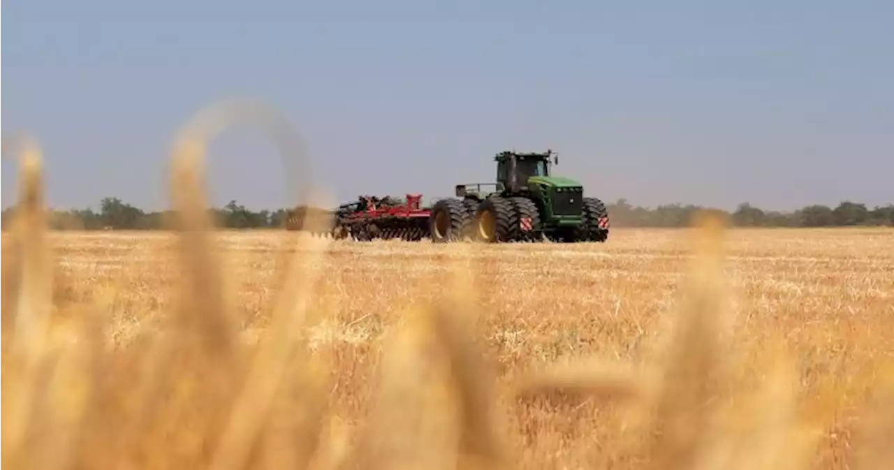 Russia suspends Black Sea grain deal in blow to global food security - National | Globalnews.ca