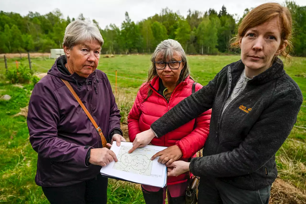 Högljudda protester mot vindkraftpark: ”Totalt jävla överkörda”