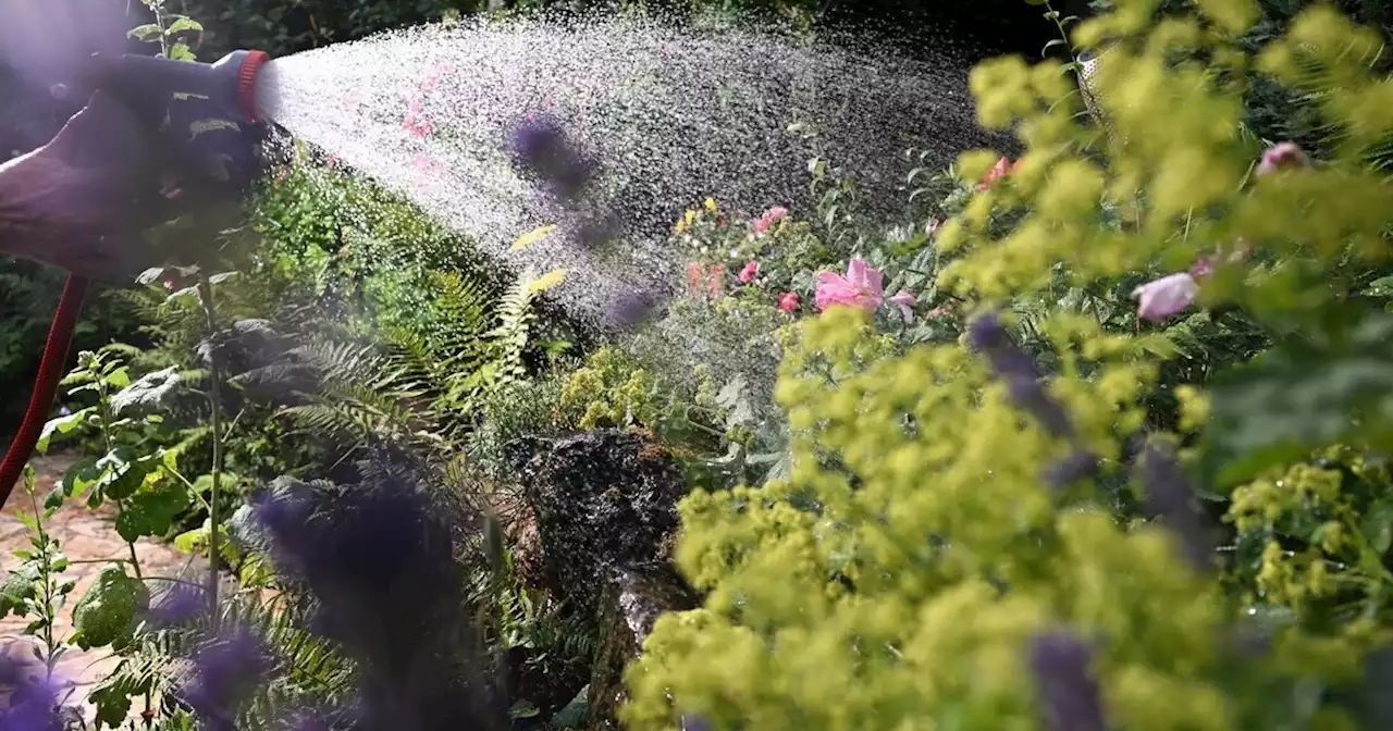 Damit der Garten auch im Landkreis Landshut durch den Sommer kommt