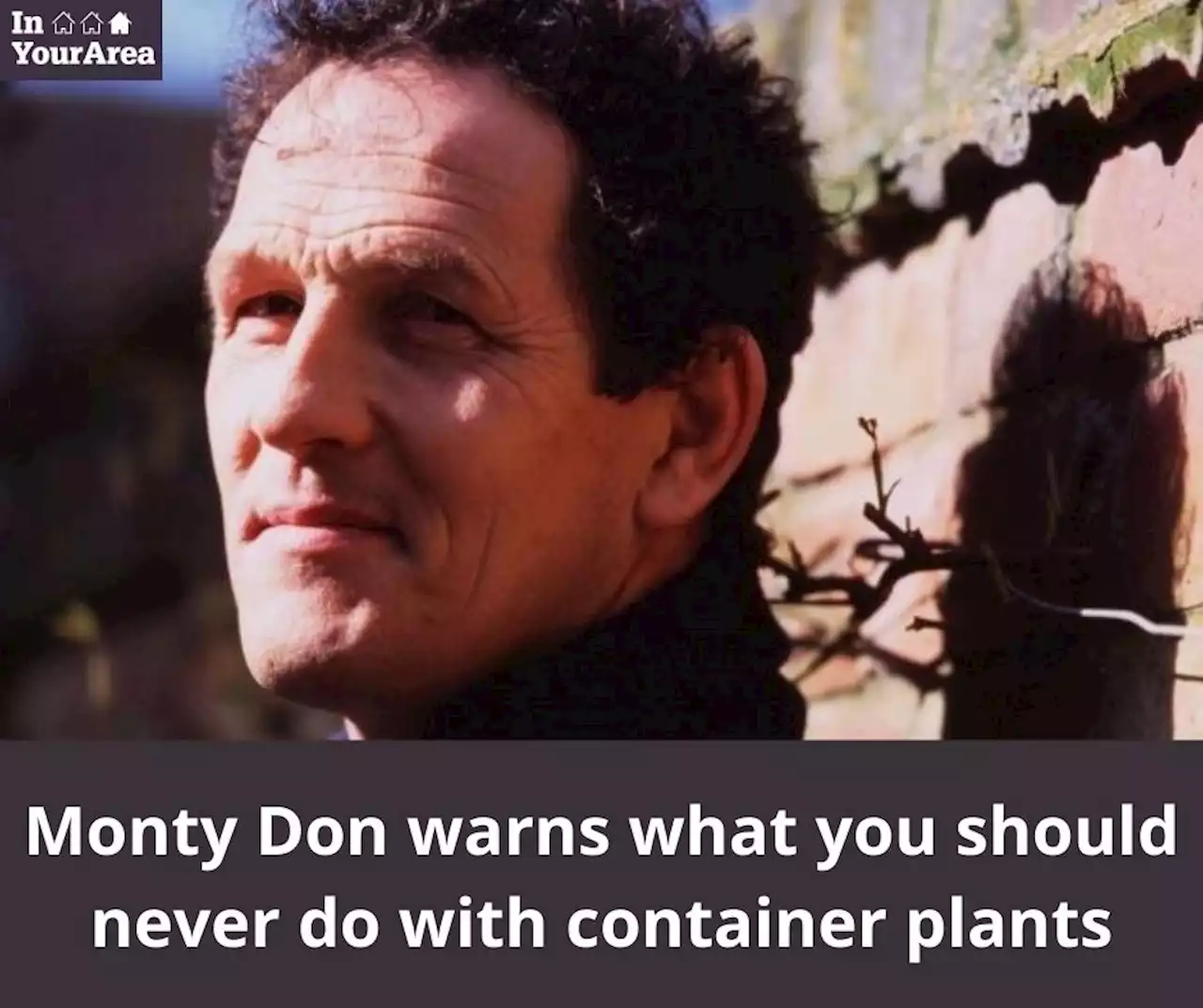 Monty Don says to avoid 'damaging' container error this month