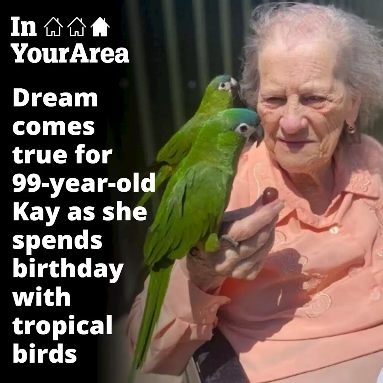 Tropical birthday treat for 99-year-old bird-loving pensioner