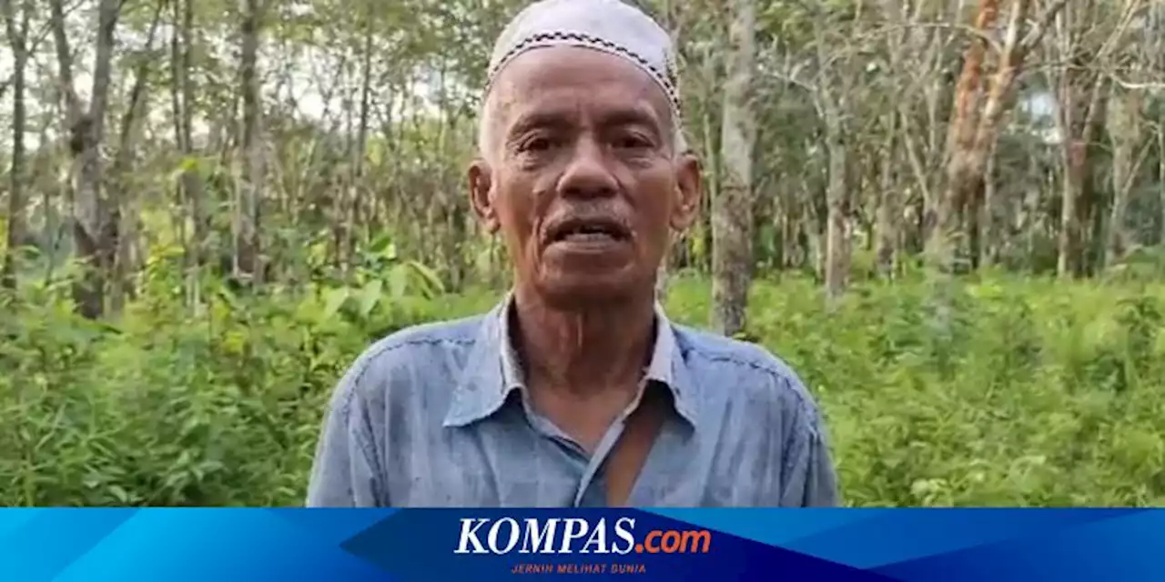 Kisah Abdul, 50 Tahun Bertahan Jadi Buruh Penderes Karet di Rokan Hulu