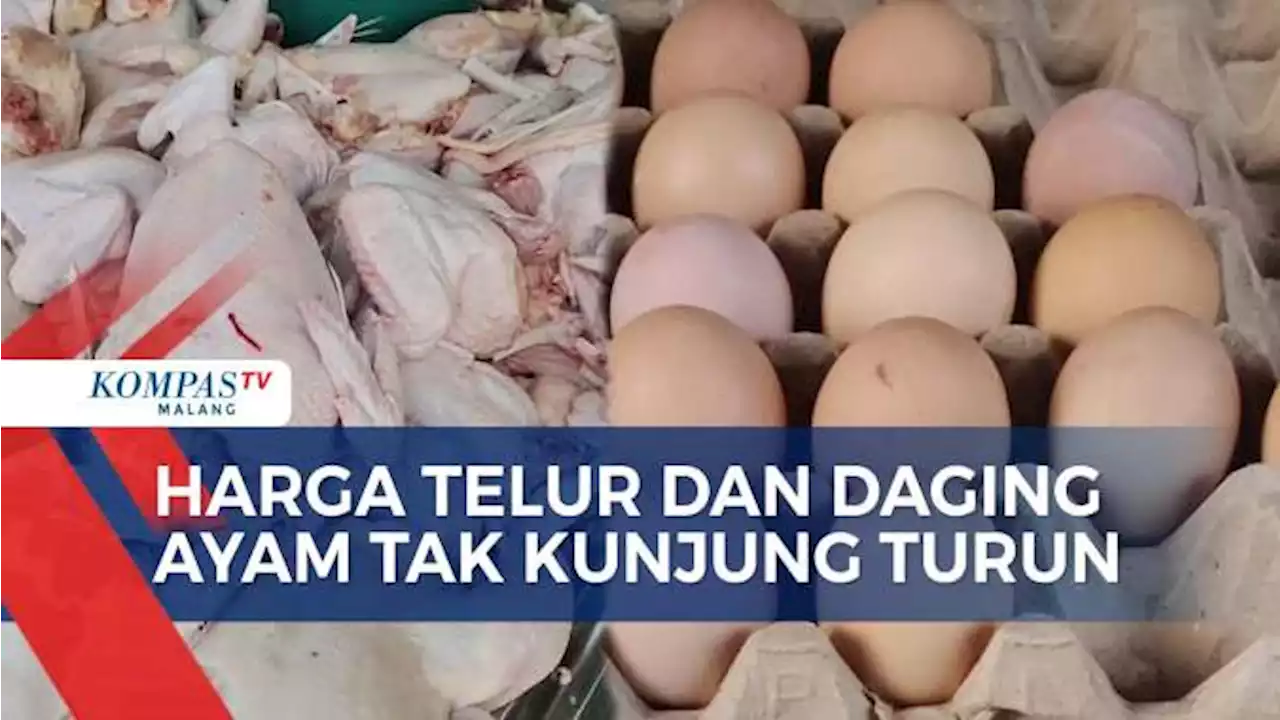 Sudah 3 Bulan, Harga Telur dan Daging Ayam di Pasar Masih Tinggi