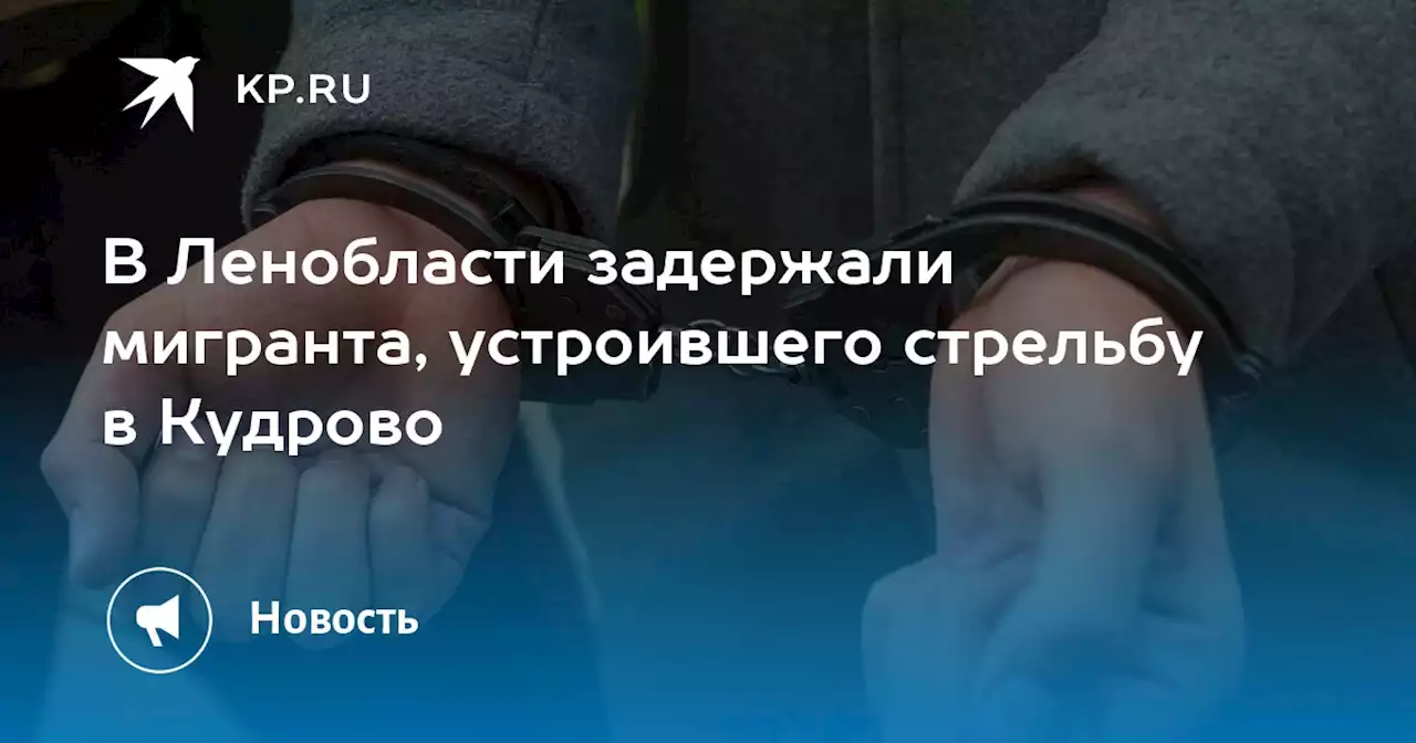 В Ленобласти задержали мигранта, устроившего стрельбу в Кудрово