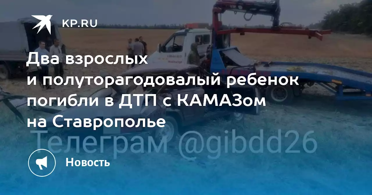 Два взрослых и полуторагодовалый ребенок погибли в ДТП с КАМАЗом на Ставрополье