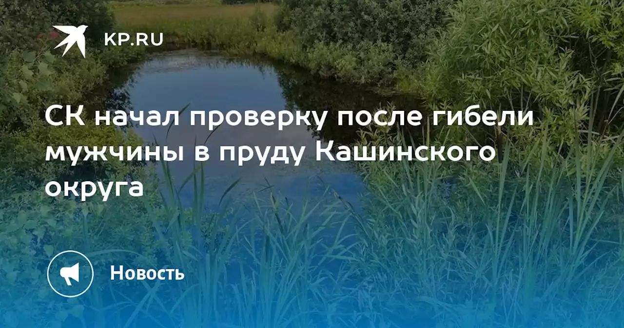 СК начал проверку после гибели мужчины в пруду Кашинского округа