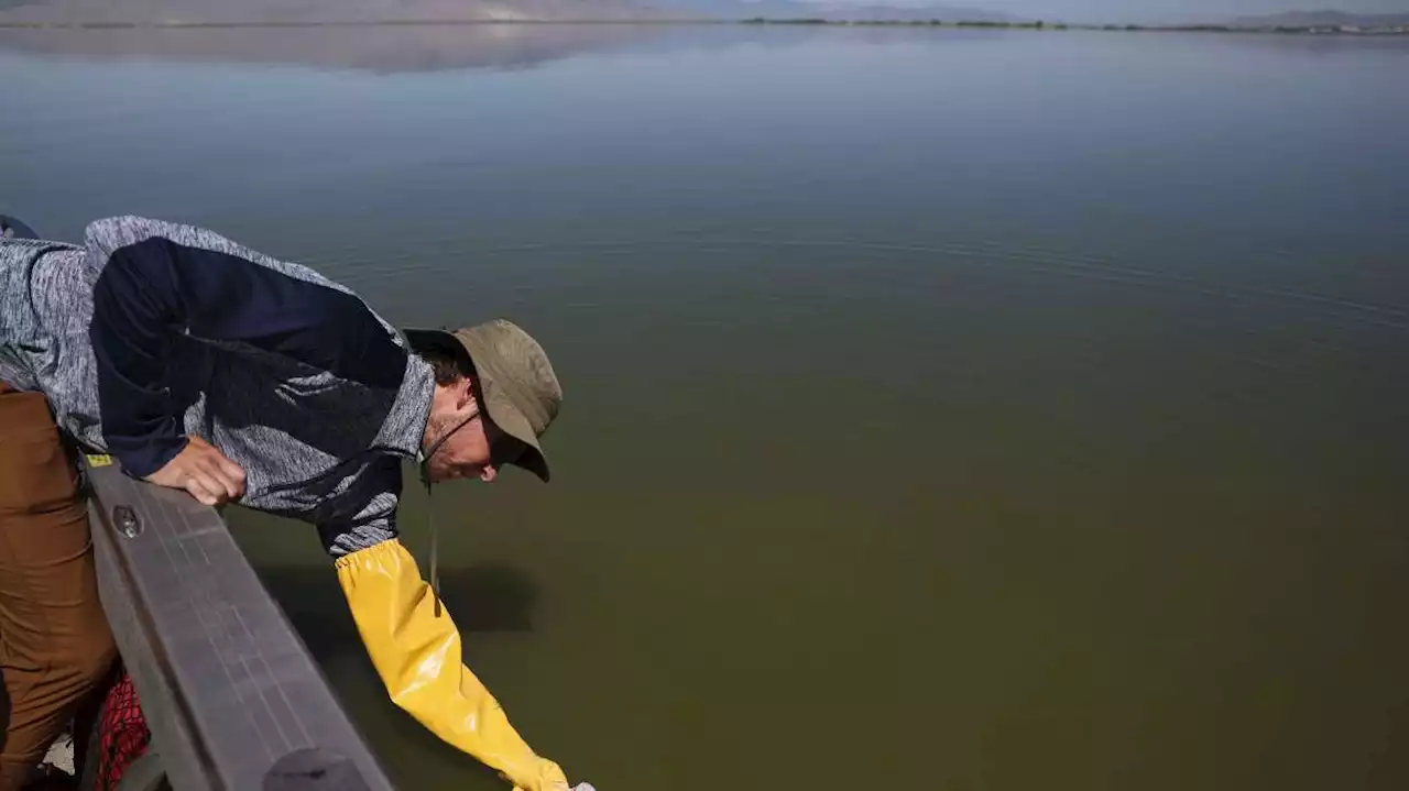 The summer heat is on and so is Utah's harmful algae season