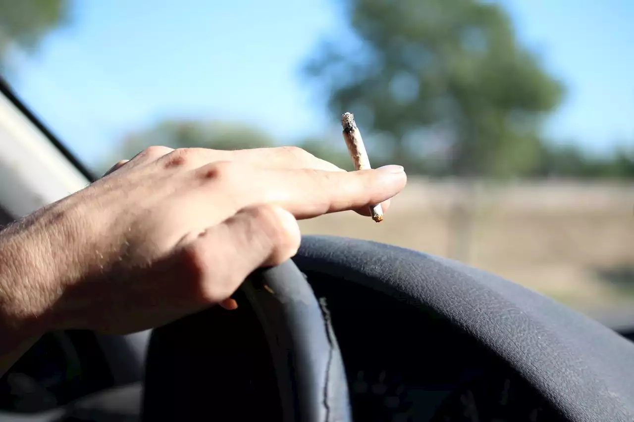 Sécurité routière : dans la Vienne, des stages pour soigner les addictions