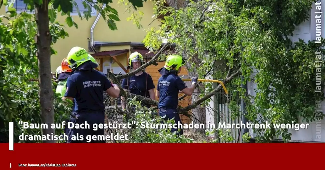 'Baum auf Dach gestürzt': Sturmschaden in Marchtrenk weniger dramatisch als gemeldet | laumat|at