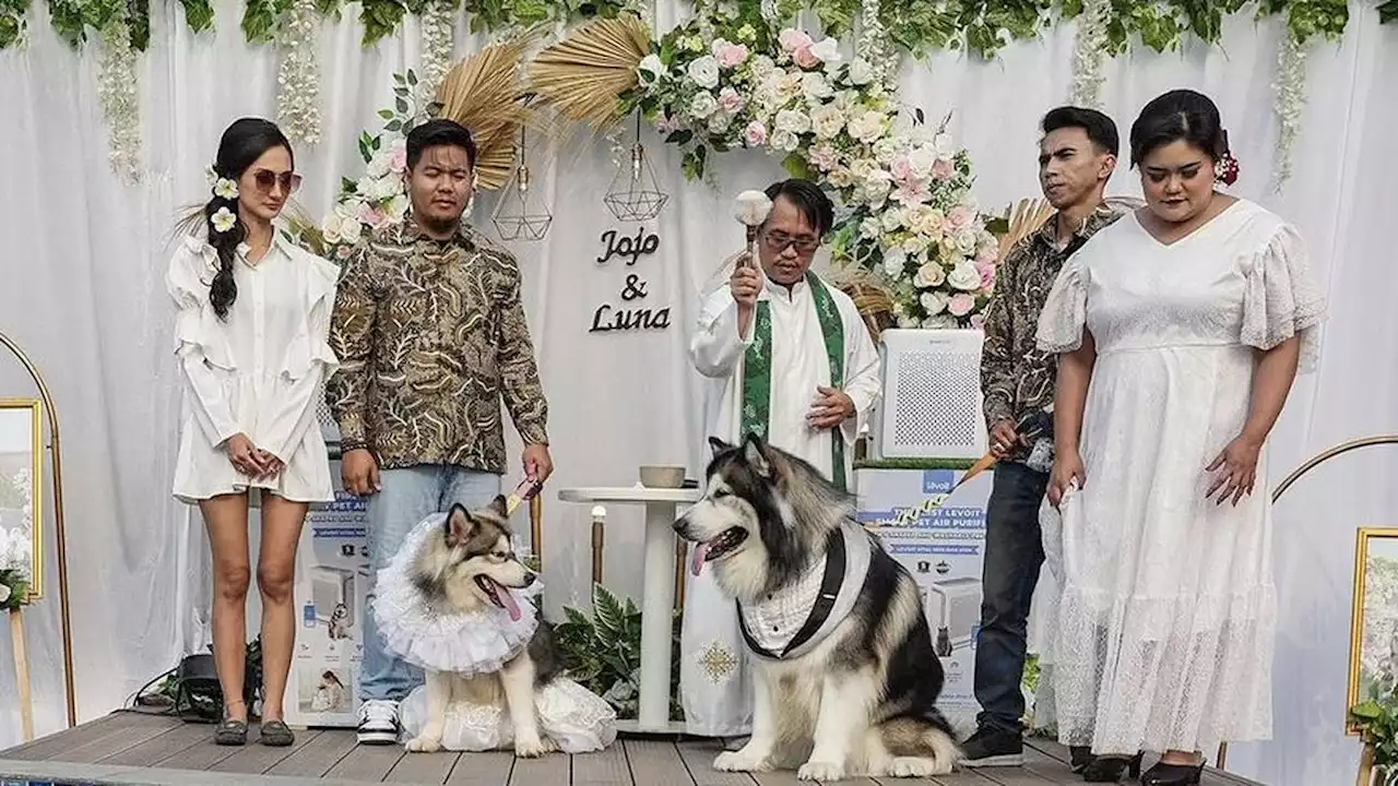 Pemilik Anjing Viral Jojo dan Luna Ungkap Alasan Nikahkan Anabul dengan Mewah yang Habiskan Rp200 Juta Lebih