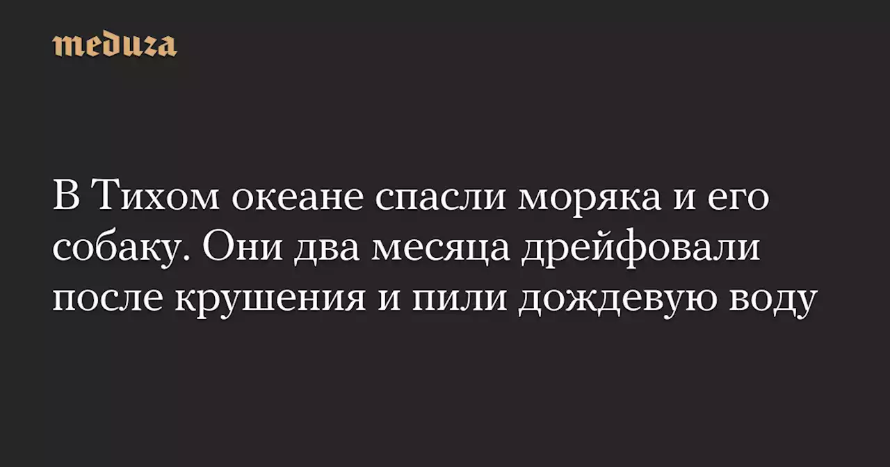 В Тихом океане спасли моряка и его собаку. Они два месяца дрейфовали после крушения и пили дождевую воду — Meduza