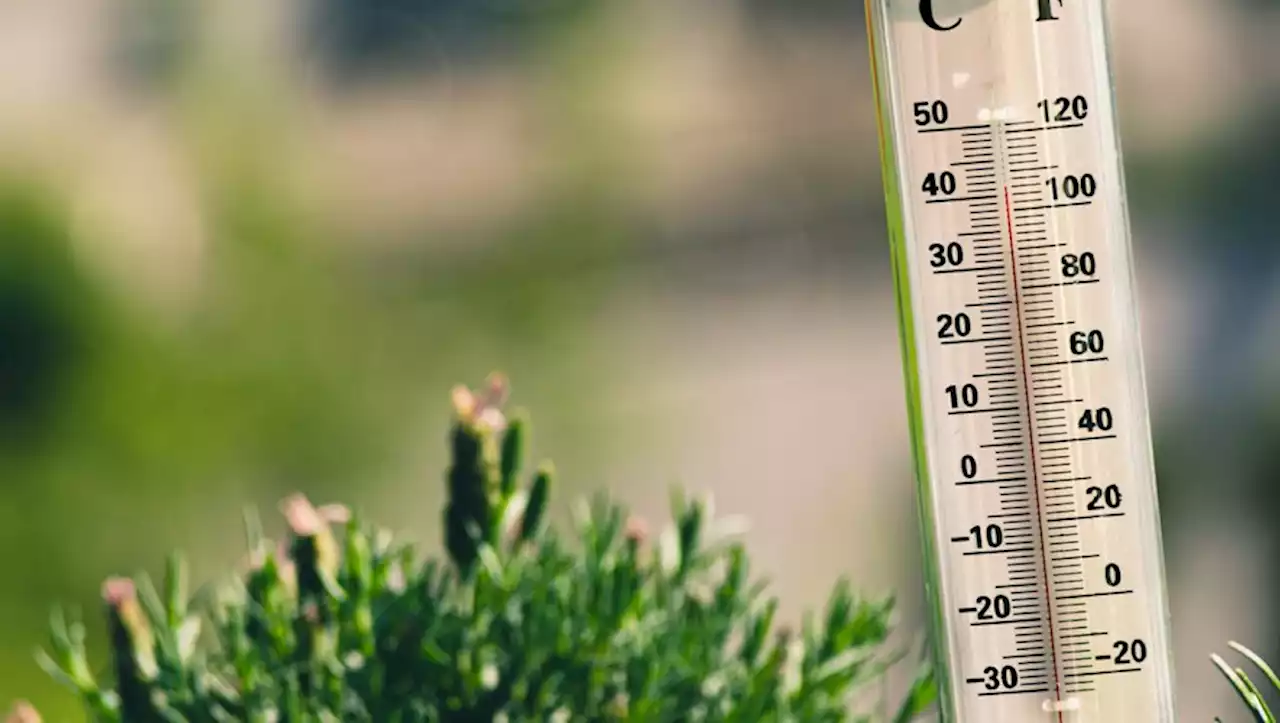 Alerte météo : sept départements en vigilance orange canicule, l'Occitanie touchée par le dôme de chaleur dès mardi