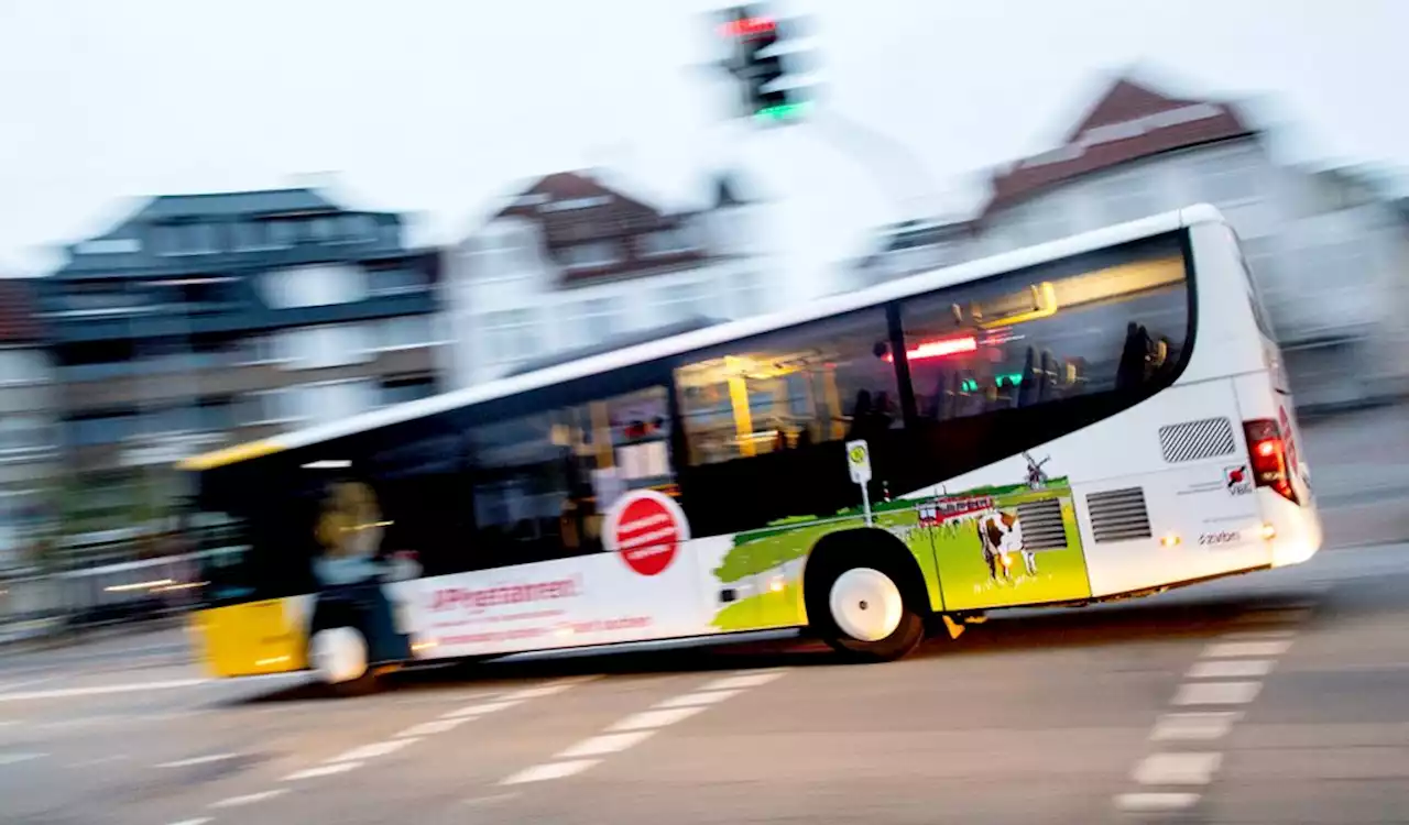 Unter Drogen: 19-Jähriger macht Spritztouren in geklautem Linienbus