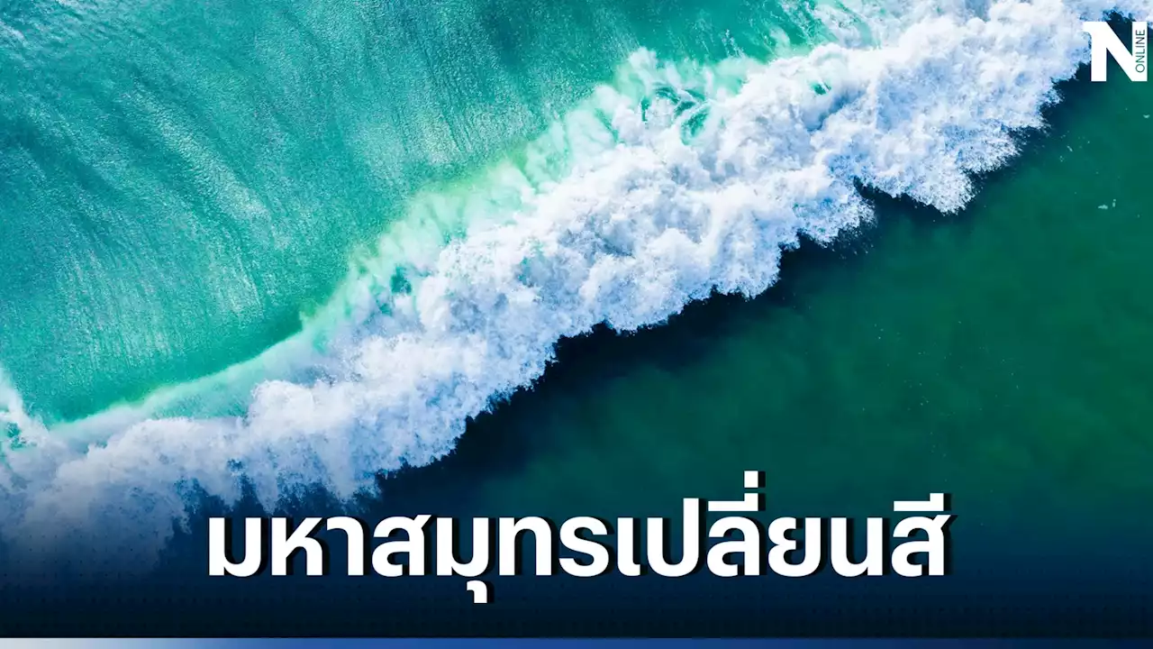 Climate Change : นักวิทย์เผยมหาสมุทรกว่าครึ่งโลกกำลังเปลี่ยนสีเพราะโลกรวน