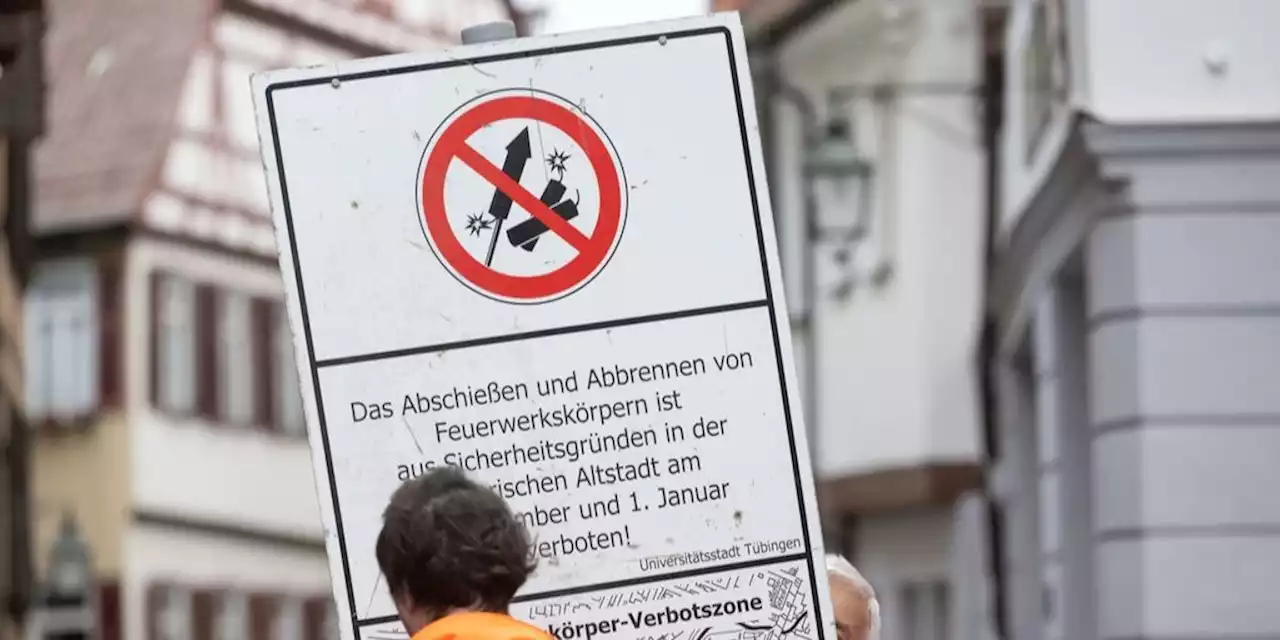 Volksinitiative gegen Feuerwerk setzt zum Endspurt an