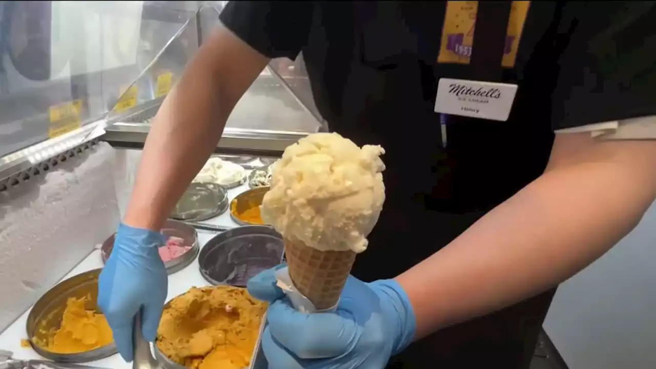 Mitchell's Ice Cream: San Francisco institution celebrates 70th anniversary