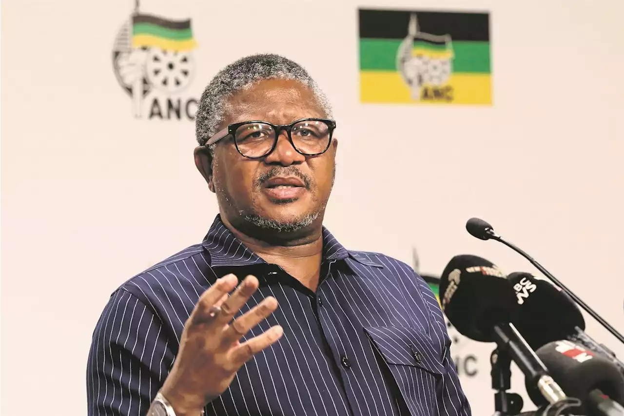 ANC will not need support in 2024 elections, says Mbalula as govt preps coalitions concept | News24