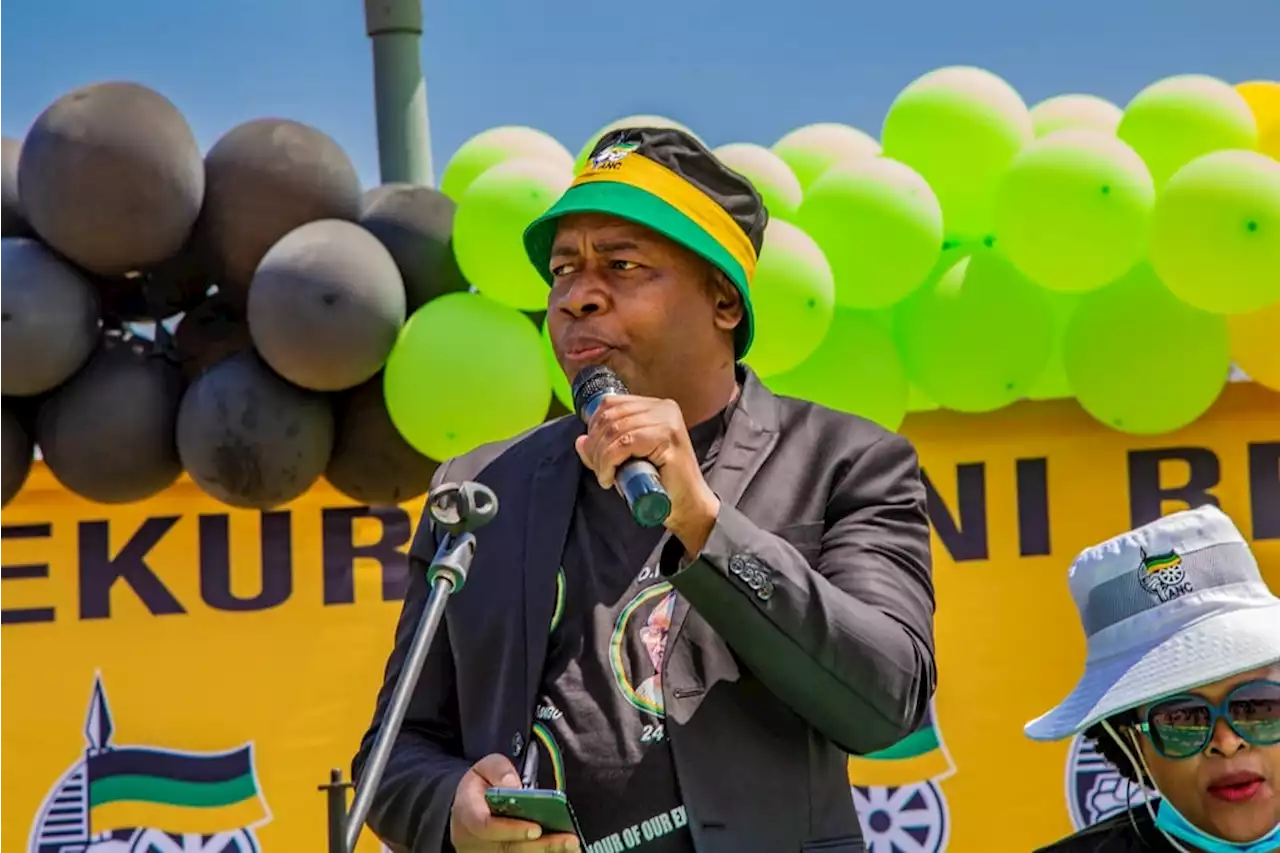 High Court sets aside chaotic ANC Ekurhuleni regional conference | News24