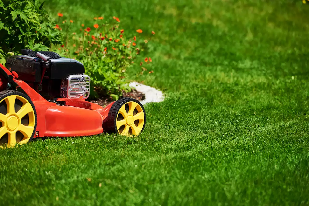 Lawn mowing early on a Sunday 'very disturbing' and should be avoided