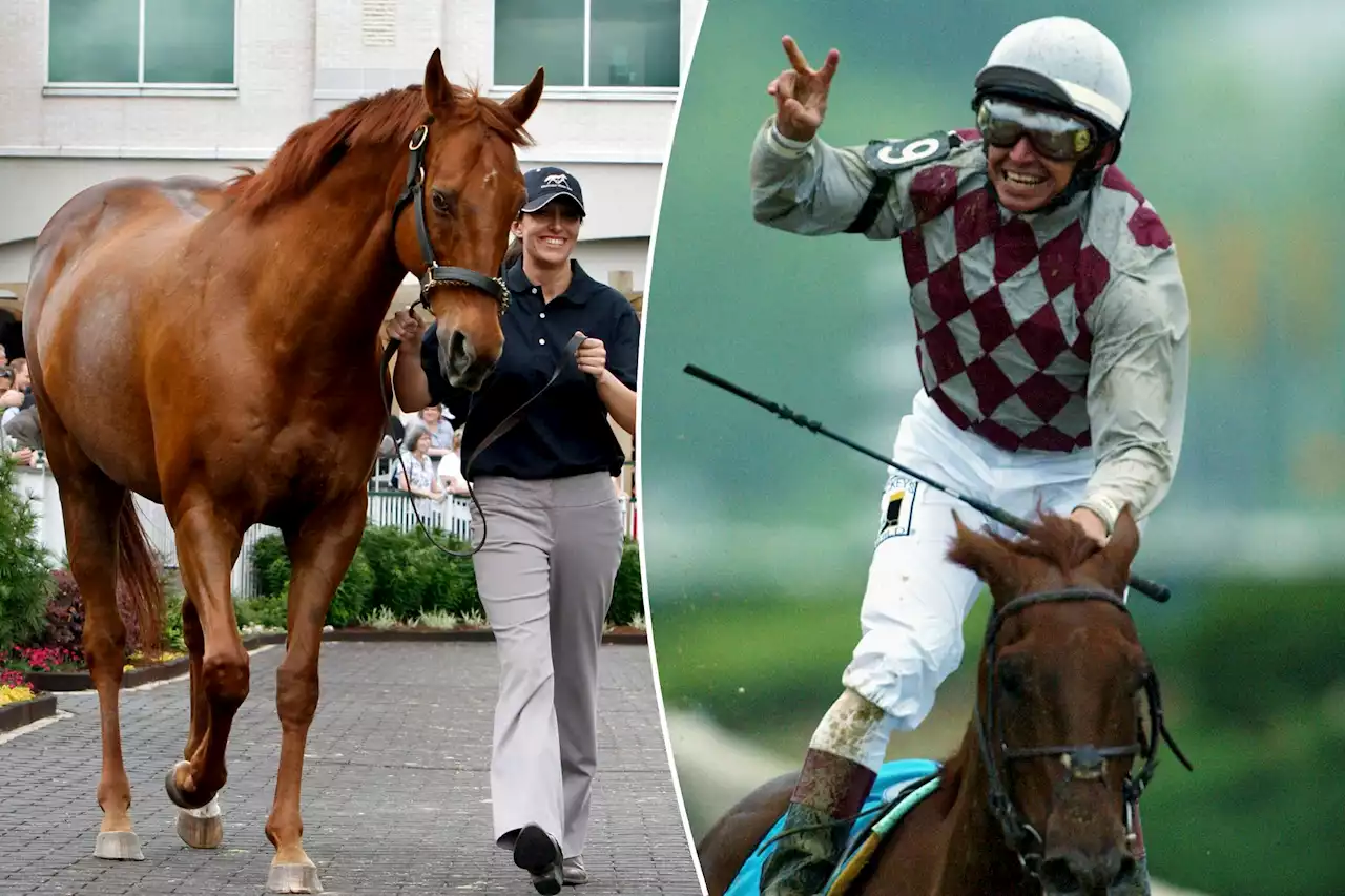 Funny Cide, Kentucky Derby and Preakness winning horse, dies at 23