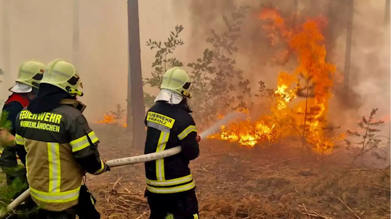 Feuerwehr bekämpft mehrere Brände im Süden Brandenburgs