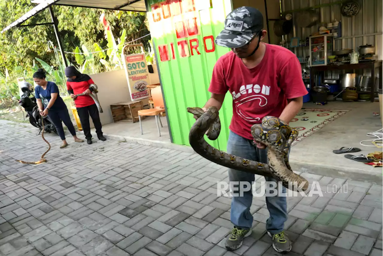 Doa Terhindar dari Serangan Binatang Buas dari Harimau Hingga Ular |Republika Online