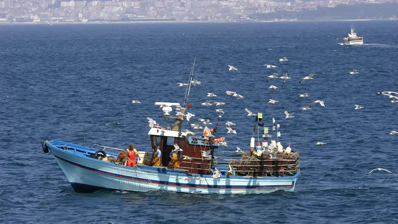 Expira el acuerdo de pesca entre UE y Marruecos: ¿qué consecuencias hay?