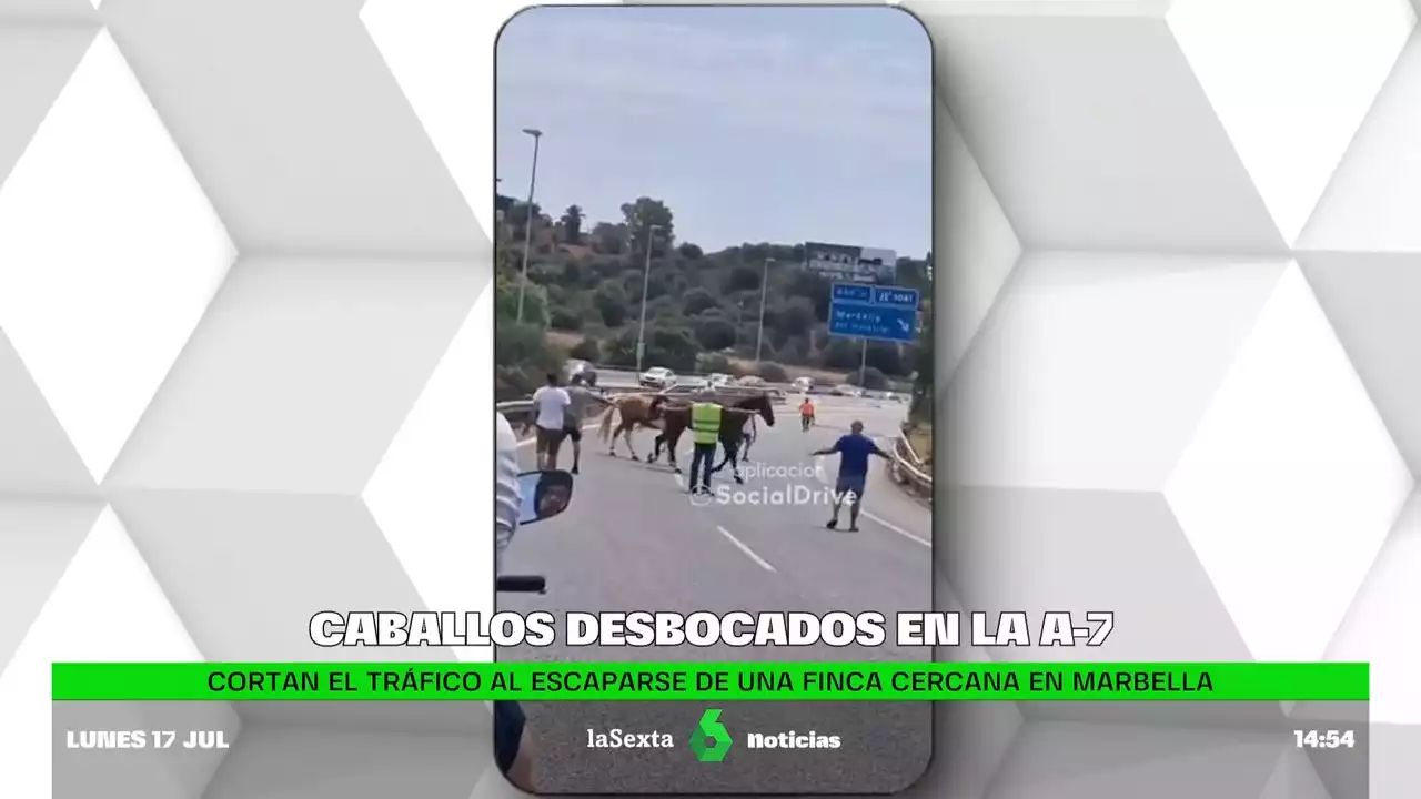 Dos caballos sueltos obligan a cortar el tráfico en la autovía de Marbella tras escapar de una finca