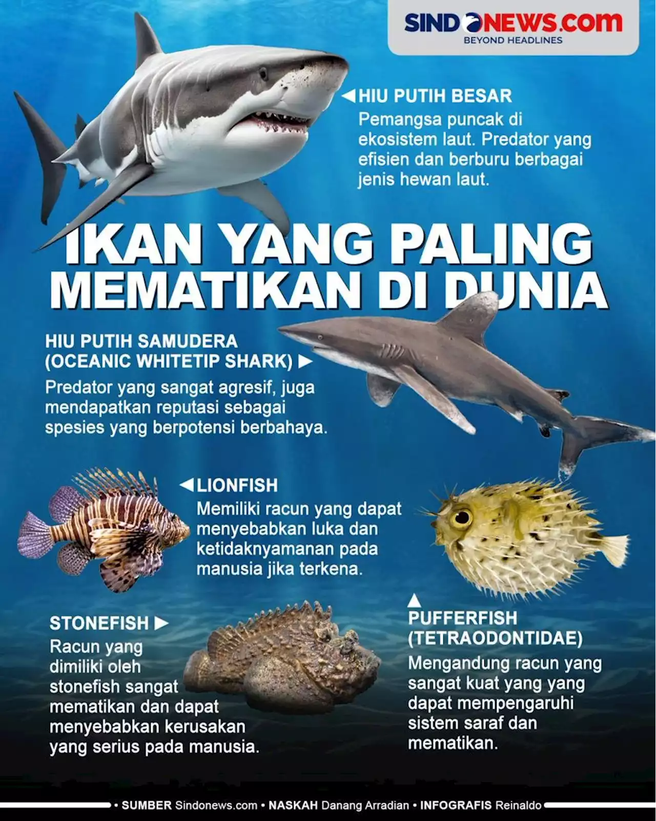 Lima Ikan yang Paling Mematikan di Dunia