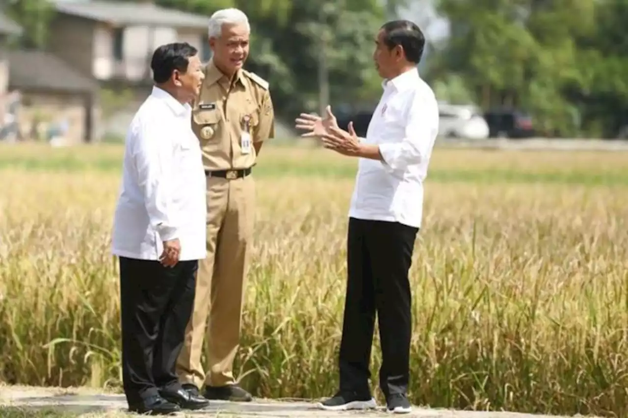 Cawe-cawe Jokowi Dinilai Mampu Redam Gejolak Persaingan Ganjar dan Prabowo