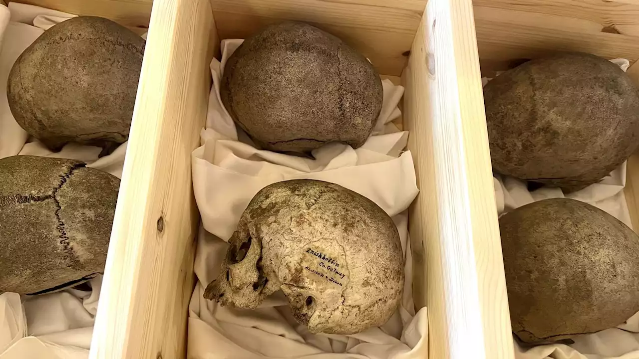 Irish skulls snatched from graveyard finally returned to Inishbofin island