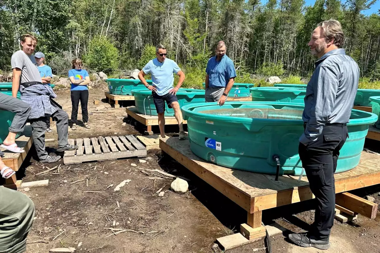 Northern First Nations studying ways to harvest wild rice