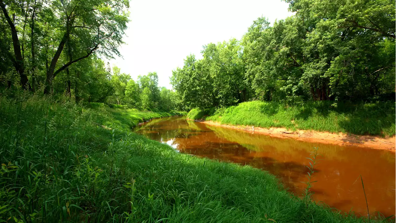 Family Canoeing on Minnesota River Finds Human Remains